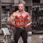 پروتئین گیاهی بدنسازی | منابع، مزایا و راهنمای مصرف برای عضله‌سازی