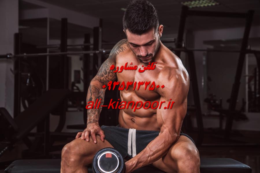خدمات ورزشی چیست؟ انواع خدمات، مزایا و نقش آن در سلامت و تناسب اندام