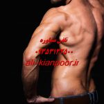 بهترین حرکات سینه با دمبل برای بانوان کدام اند؟