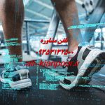 برنامه تمرینی بانوان در سیکل قاعدگی | تمرین هوشمندانه براساس فازهای هورمونی