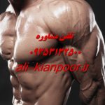 تمرین سرشانه بانوان ؛ فرم‌ دهی و سفت‌ کردن شانه‌ ها بدون حجم زیاد