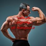 صبحانه رژیمی لاغری ؛ شروع روز با تغذیه سالم و چربی‌سوز