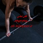 آیا خواب زیاد باعث چاقی می‌شود؟ حقیقت دارد؟ بررسی رابطه خواب با افزایش وزن
