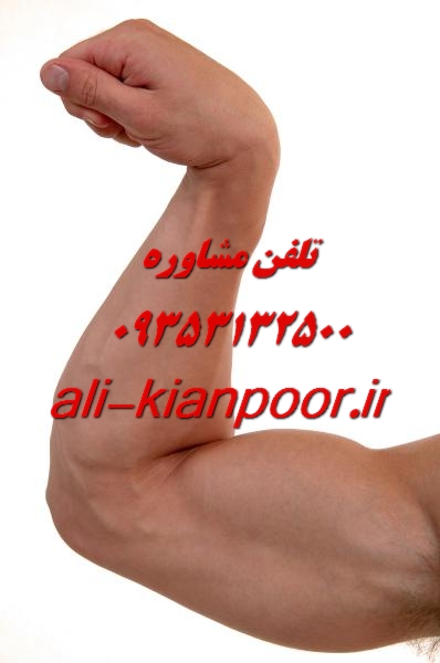 استخدام مربی بادی شیپ برای باشگاه و آموزشگاه