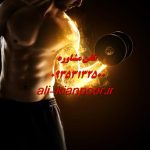 عضله سازی سریع و اصولی | تمرین، تغذیه و نکات کلیدی