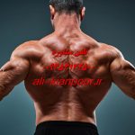 روش اصولی برای لاغری ؛ راهی سالم، پایدار و قابل اعتماد
