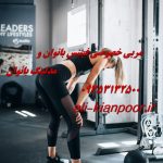 برنامه تغذیه علمی مخصوص بانوان شاغل برنامه تغذیه علمی مخصوص بانوان شاغل